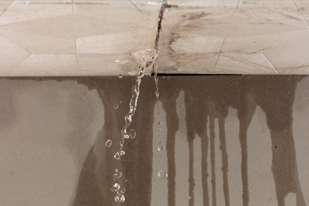 Professional Water Damage Inspection technician working in Houlton, WI